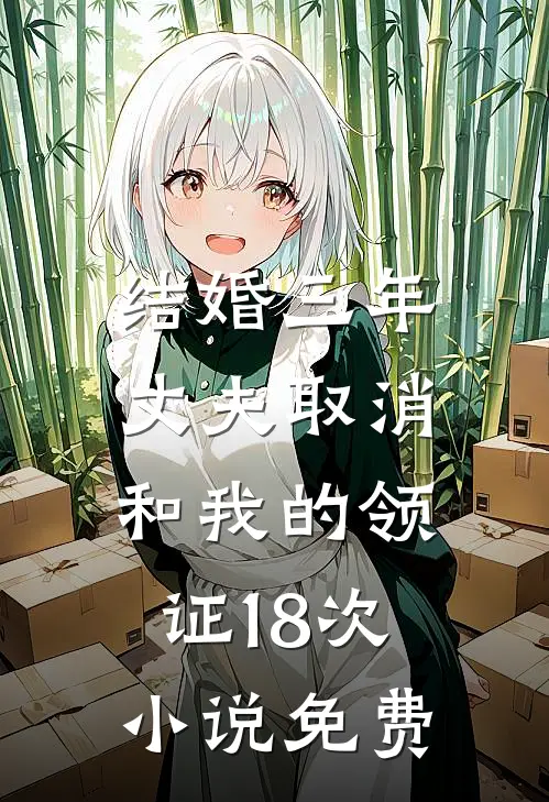 结婚三年，丈夫取消和我的领证18次小说免费