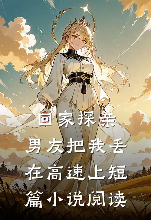 回家探亲，男友把我丢在高速上短篇小说阅读
