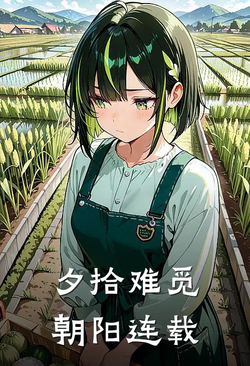 夕拾难觅朝阳连载