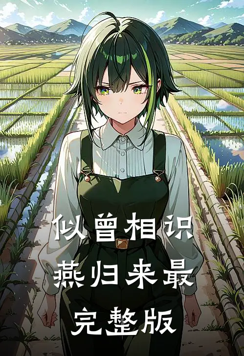 似曾相识燕归来最完整版