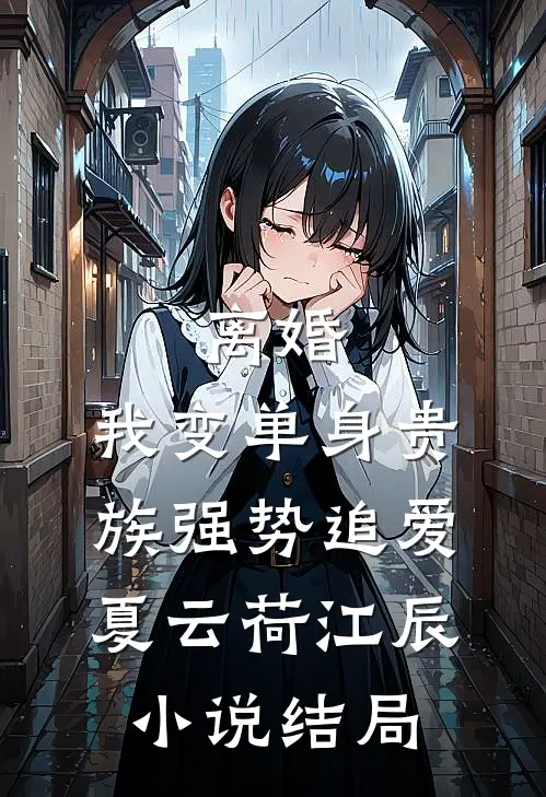 离婚：我变单身贵族强势追爱夏云荷江辰小说结局
