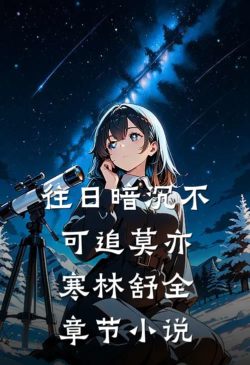 往日暗沉不可追莫亦寒林舒全章节小说