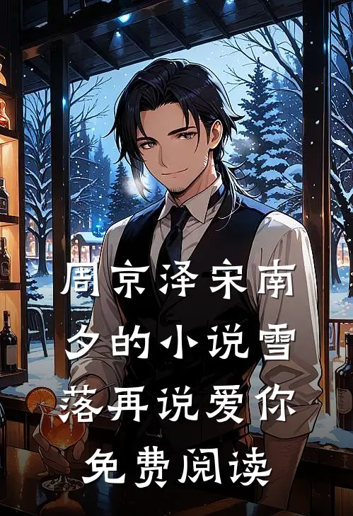 周京泽宋南夕的小说雪落再说爱你免费阅读