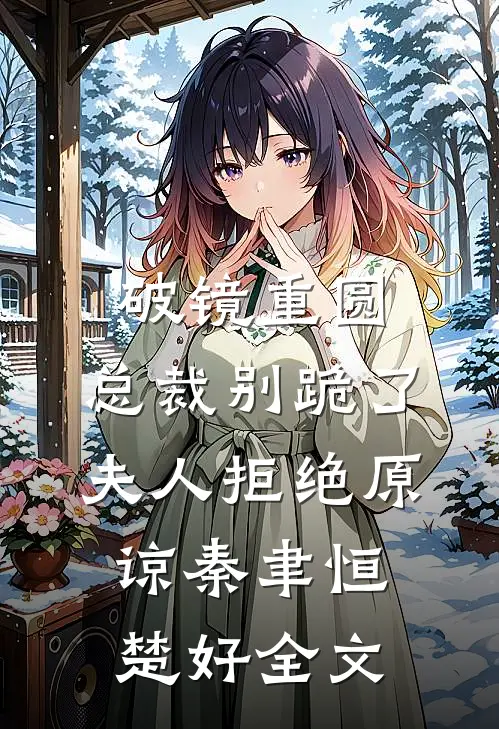 破镜重圆：总裁别跪了，夫人拒绝原谅秦聿恒楚好全文
