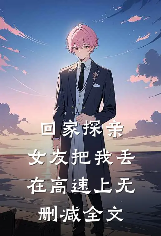 回家探亲，女友把我丢在高速上无删减全文