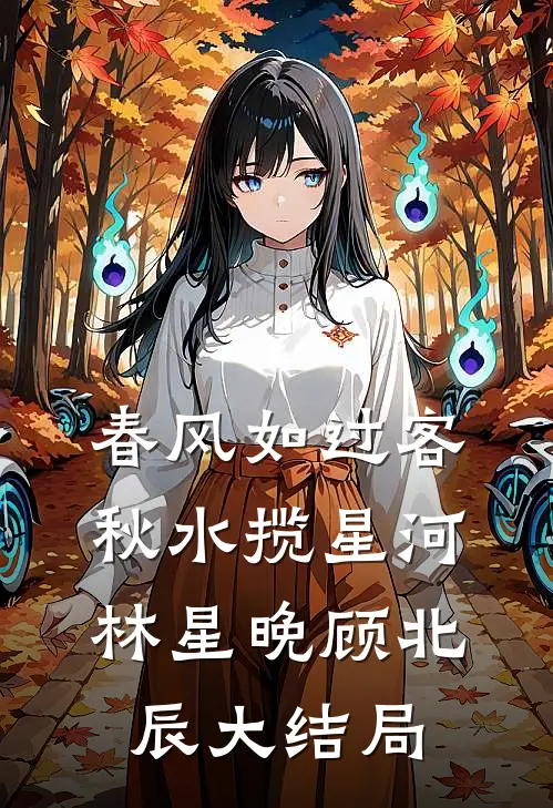春风如过客，秋水揽星河林星晚顾北辰大结局