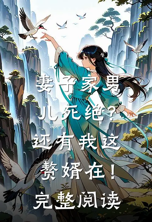 妻子家男儿死绝？还有我这赘婿在！完整阅读