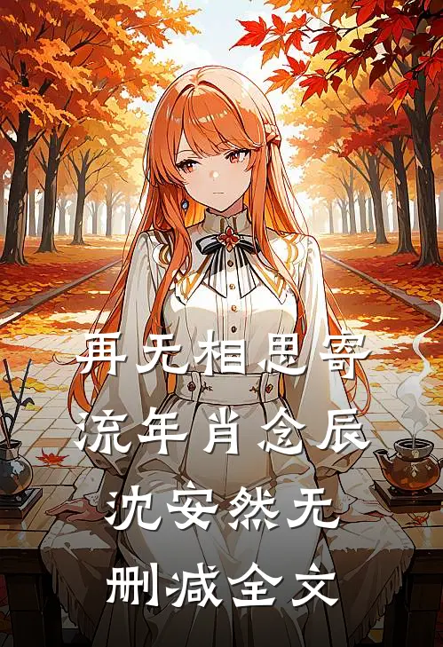 再无相思寄流年肖念辰沈安然无删减全文