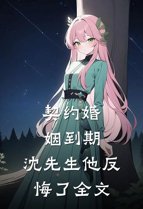 契约婚姻到期，沈先生他反悔了全文