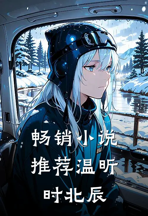 畅销小说推荐温昕时北辰