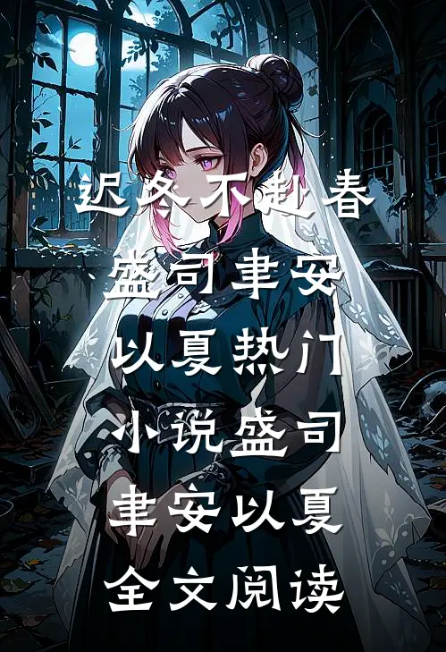 迟冬不赴春盛司聿安以夏热门小说（盛司聿安以夏）全文阅读