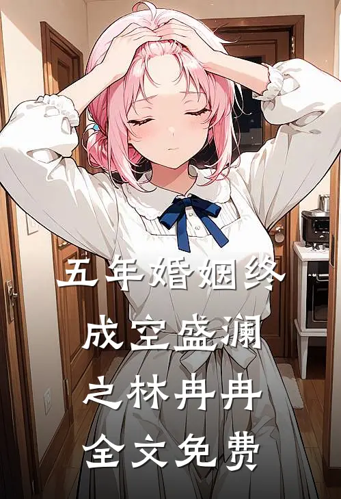 五年婚姻终成空盛澜之林冉冉全文免费