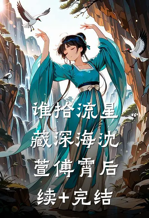 谁拾流星藏深海沈萱傅霄后续+完结