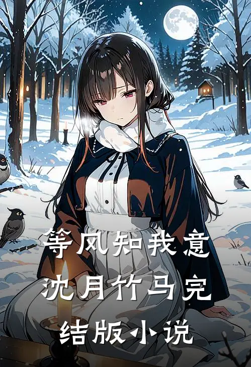 等风知我意沈月竹马完结版小说
