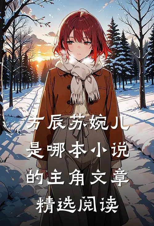 方辰苏婉儿是哪本小说的主角文章精选阅读