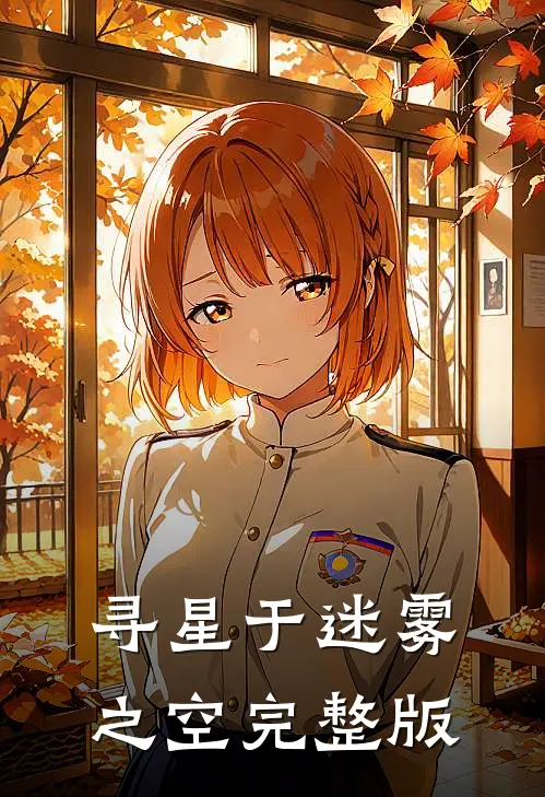 寻星于迷雾之空完整版