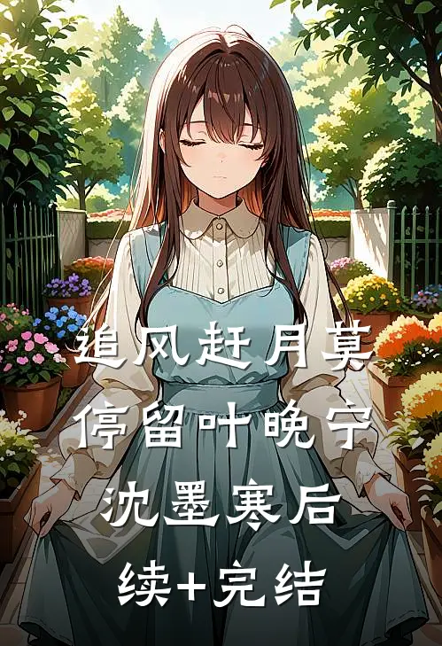 追风赶月莫停留叶晚宁沈墨寒后续+完结