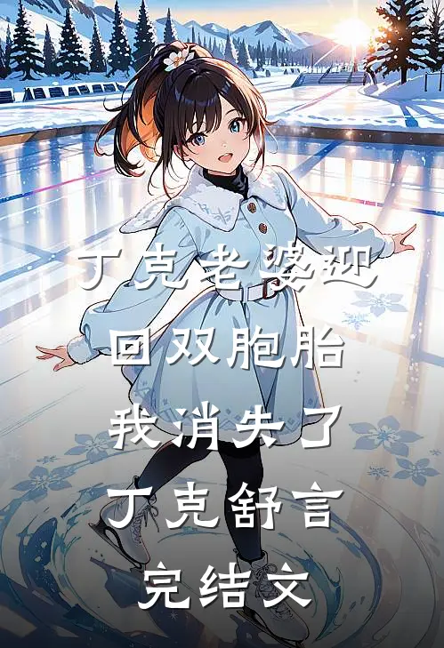丁克老婆迎回双胞胎，我消失了丁克舒言完结文