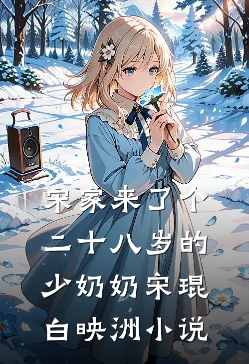 宋家来了个二十八岁的少奶奶宋琨白映洲小说