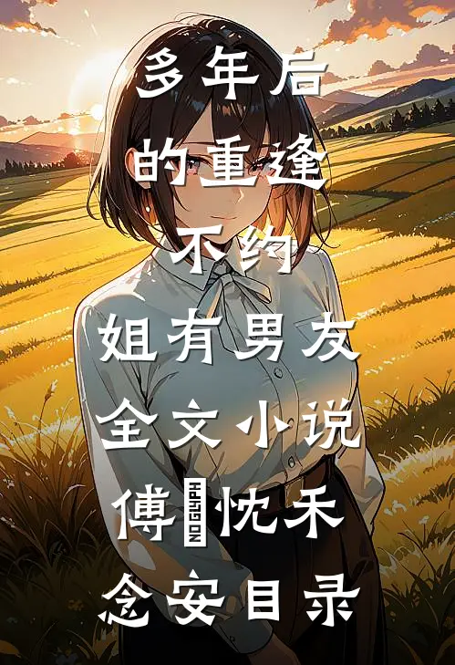 多年后的重逢，不约，姐有男友全文小说傅璟忱禾念安目录