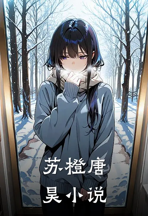 苏橙唐昊小说
