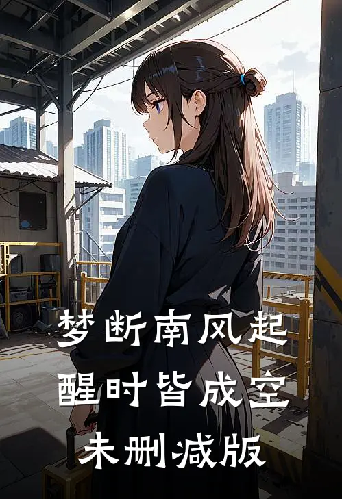 梦断南风起，醒时皆成空未删减版