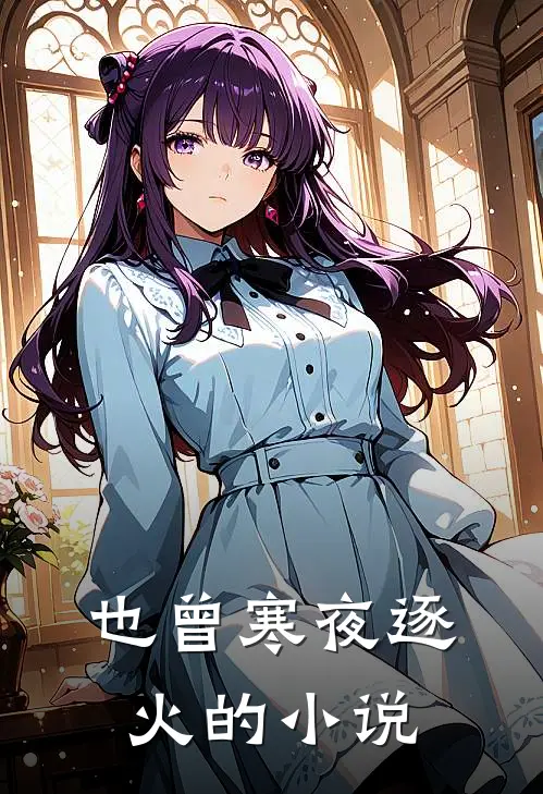也曾寒夜逐火的小说