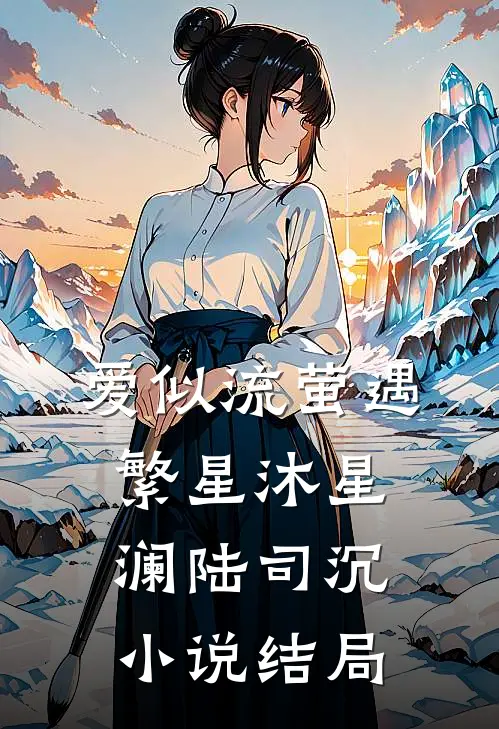 爱似流萤遇繁星沐星澜陆司沉小说结局