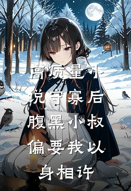 高质量小说守寡后，腹黑小叔偏要我以身相许