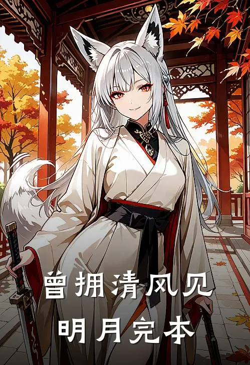 曾拥清风见明月完本