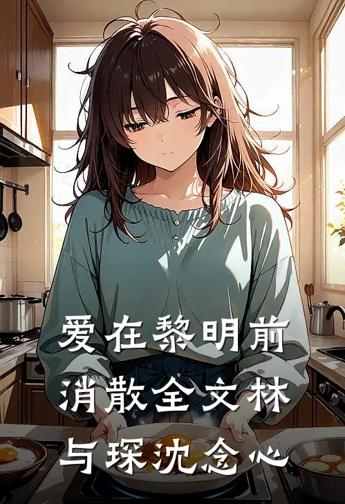爱在黎明前消散全文林与琛沈念心