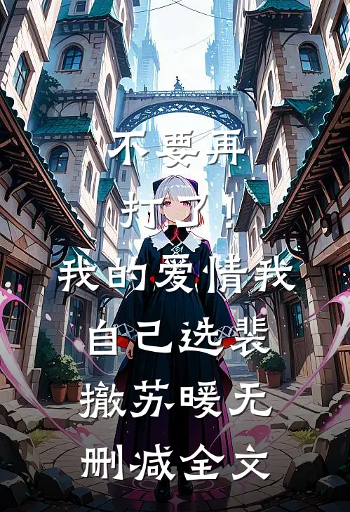 不要再打了！我的爱情我自己选裴撤苏暖无删减全文