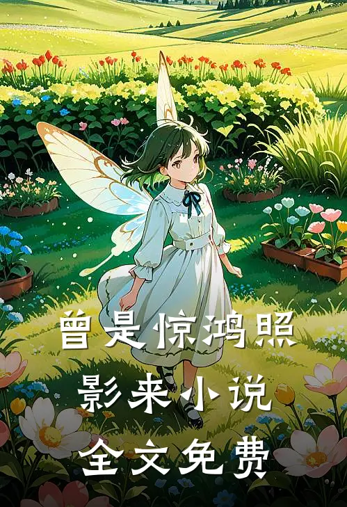 曾是惊鸿照影来小说全文免费