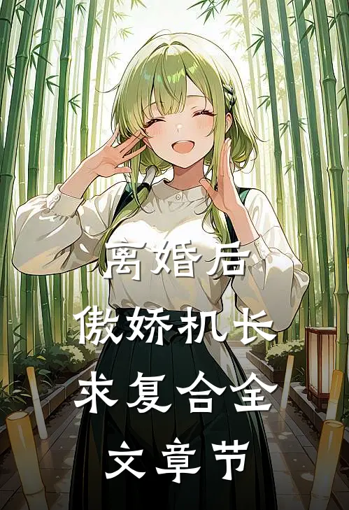 离婚后，傲娇机长求复合全文章节