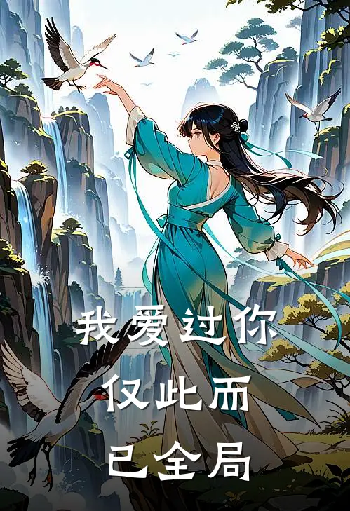 我爱过你，仅此而已全局