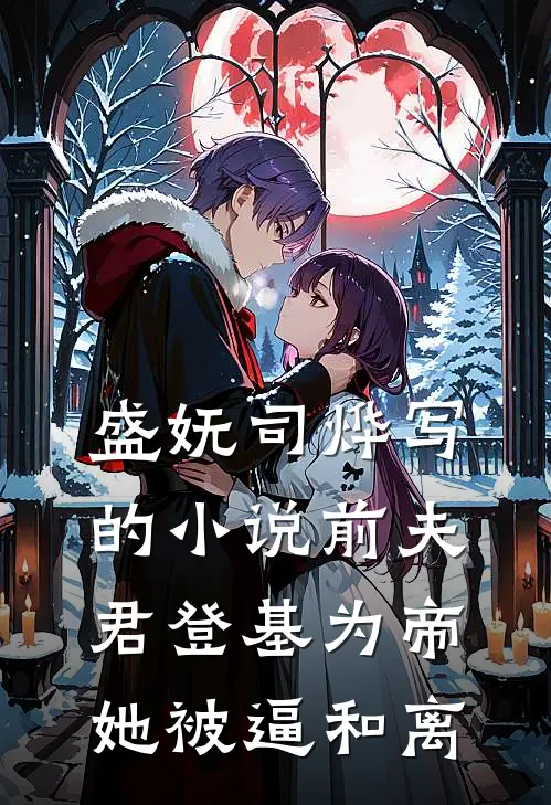 盛妩司烨写的小说前夫君登基为帝，她被逼和离