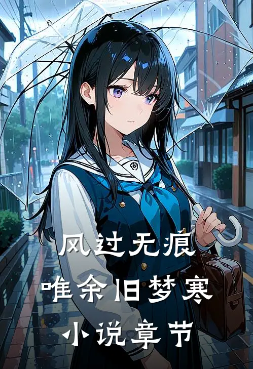 风过无痕，唯余旧梦寒小说章节