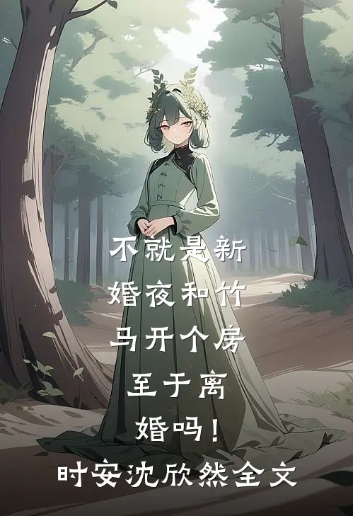 不就是新婚夜和竹马开个房，至于离婚吗！时安沈欣然全文