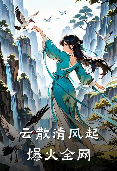云散清风起爆火全网