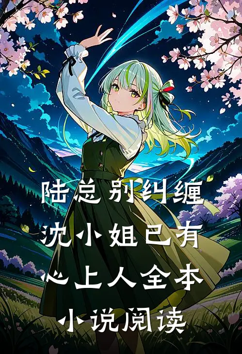 陆总别纠缠，沈小姐已有心上人全本小说阅读