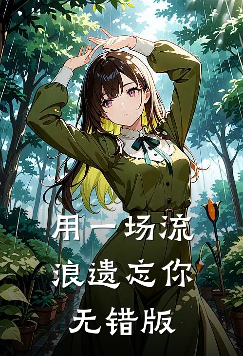 用一场流浪遗忘你无错版