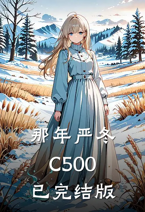 那年严冬C500已完结版