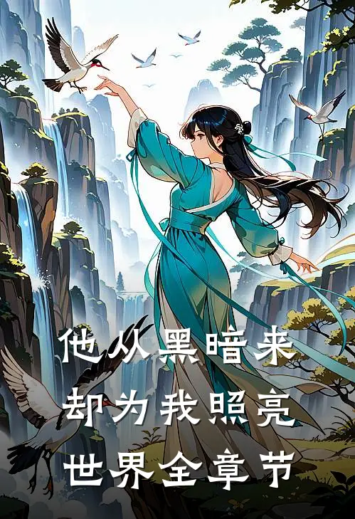 他从黑暗来,却为我照亮世界全章节免费阅读