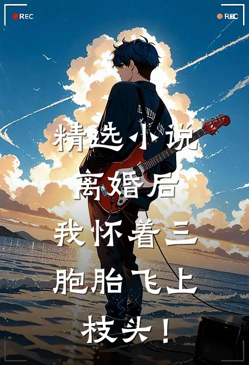 精选小说离婚后，我怀着三胞胎飞上枝头！