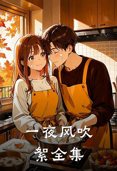 一夜风吹絮全集