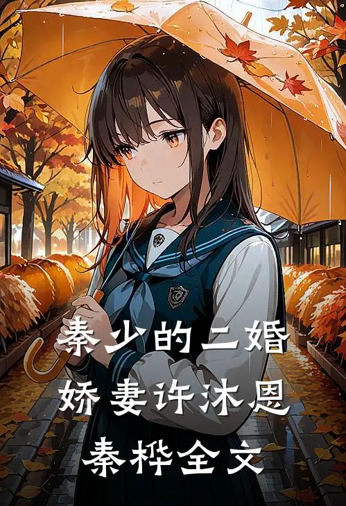 秦少的二婚娇妻许沐恩秦桦全文