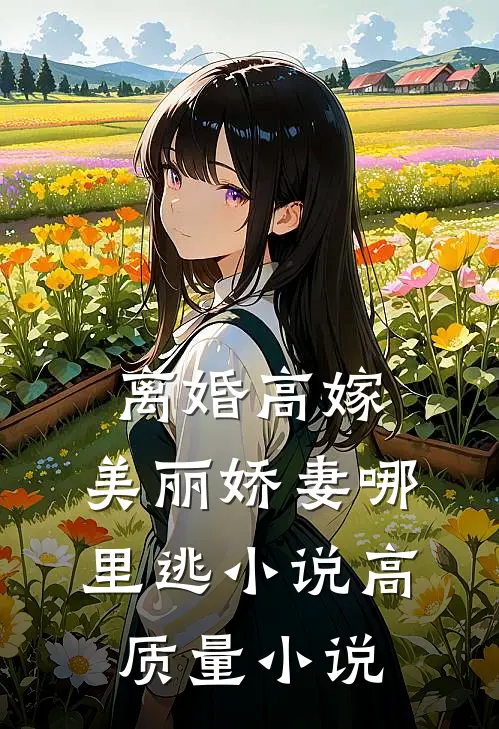 离婚高嫁:美丽娇妻哪里逃小说高质量小说