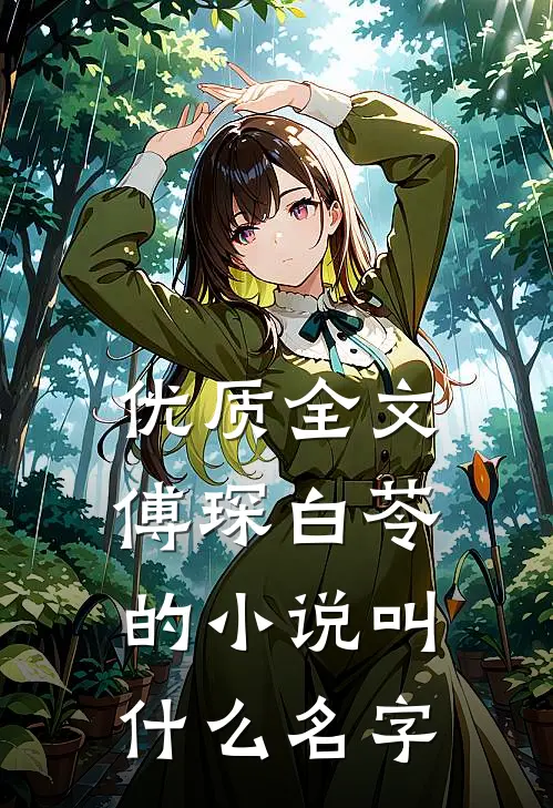 优质全文傅琛白苓的小说叫什么名字