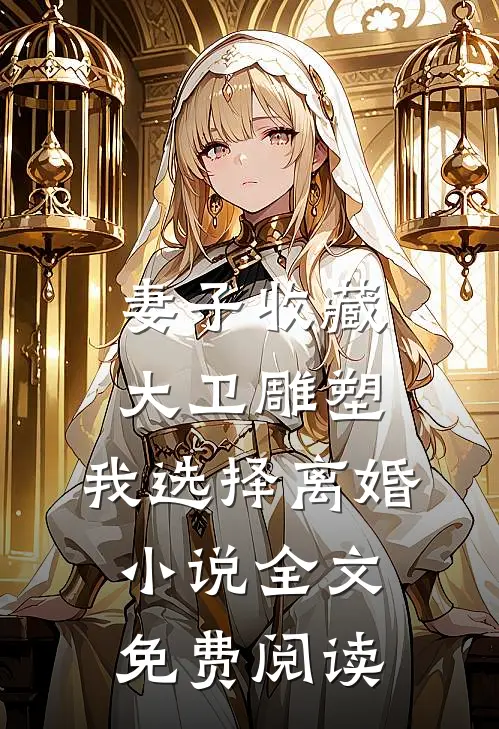 妻子收藏大卫雕塑，我选择离婚小说全文免费阅读