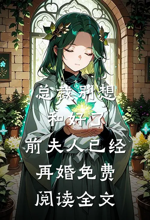 总裁别想和好了，前夫人已经再婚免费阅读全文